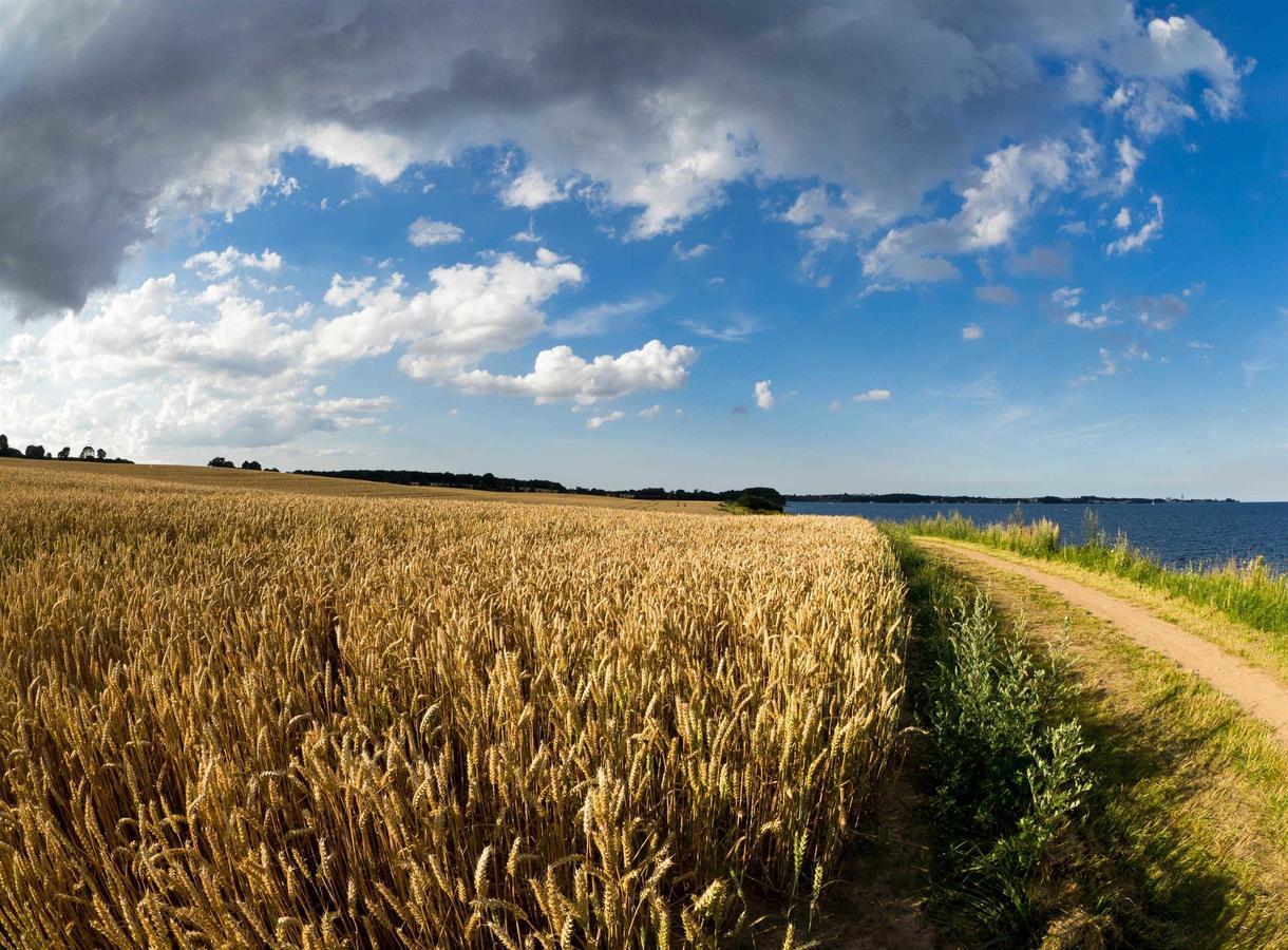 Haus Sonne _ Meer Sierksdorf Zewnętrze zdjęcie